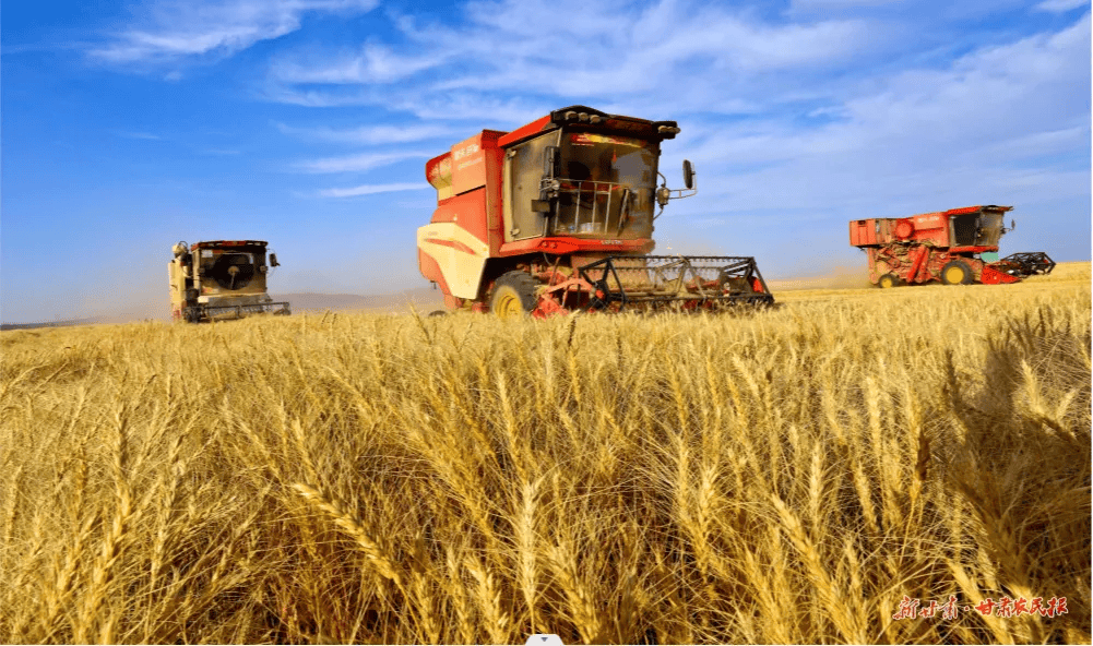 锚定千亿斤产能目标，助力粮食单产提升
