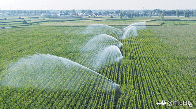 秋粮灌溉保障加码 河北灌区改造与智能技术双轮